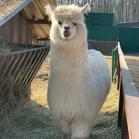 Ranc Pod Babicou Vendégház