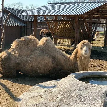 招待所 Ranc Pod Babicou Bojná
